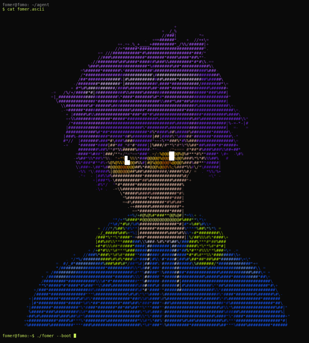 fomer, a purple-haired guy in a blue hoodie rendered in terminal ascii art